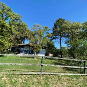 Leaf Removal by Tafolla Home Repairs and Landscaping reviewed on April 8, 2025