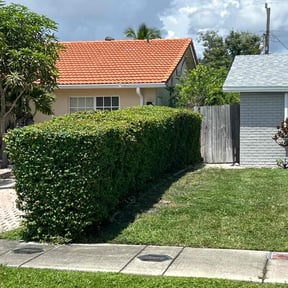 Bush Trimming by J Jr’s Lawn Maintenance reviewed on November 13, 2022