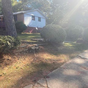 Bush Trimming by On Time landscaping reviewed on December 21, 2024