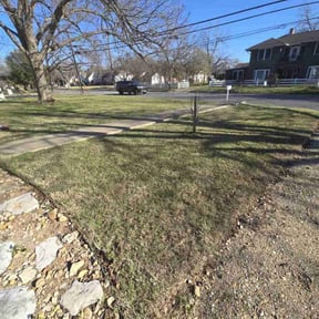 Leaf Removal by Dustin Alexander reviewed on June 29, 2022