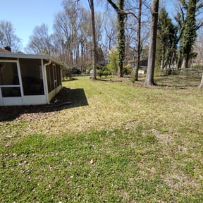 Leaf Removal by Bubbas lawn service/car reviewed on August 1, 2024