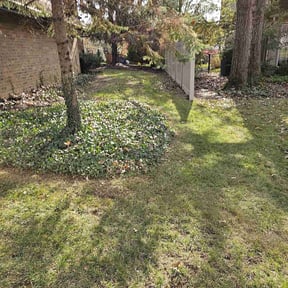 Leaf Removal by JR Lawn Maintenance reviewed on May 24, 2022