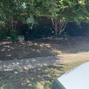 Weeding by DJS Lawn care reviewed on November 30, 2023