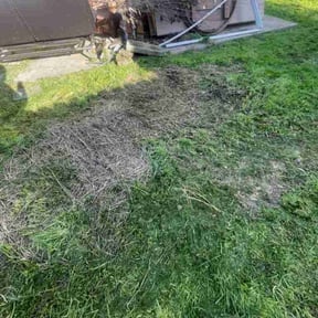 Leaf Removal by Straight Edge Lawn Care reviewed on June 3, 2022