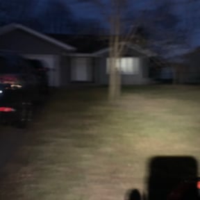 Leaf Removal by Sandrez lawn care service reviewed on March 10, 2025