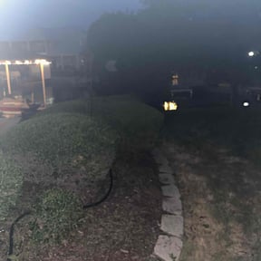 Bush Trimming by Ramirez Landscaping reviewed on December 13, 2024