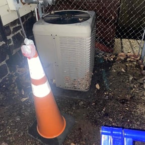 Leaf Removal by Salamanca's Landscaping LLC reviewed on May 23, 2022