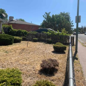 Bush Trimming by Bar boys movers and services reviewed on April 20, 2022