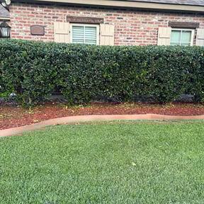 Bush Trimming by Kenny’s Lawn Care LLC reviewed on March 24, 2025