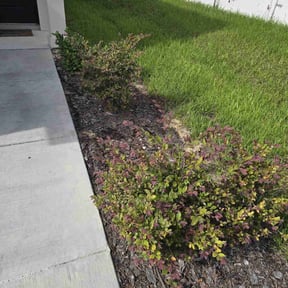 Flower Bed Weeding by Jay Landscaping reviewed on May 9, 2022