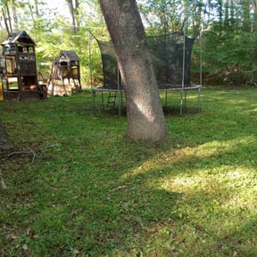 Cleanups by Sloan lawn care reviewed on April 9, 2025