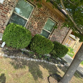 Bush Trimming by Triple R Lawncare LLC reviewed on May 2, 2022