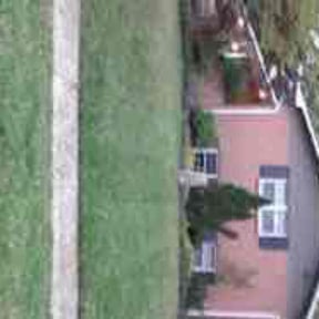 Bush Trimming by MPP Landscaping reviewed on June 2, 2022