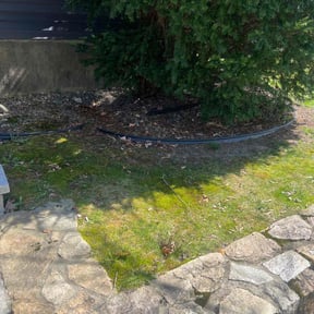 Leaf Removal by Jose Martinez landscape services reviewed on June 1, 2022
