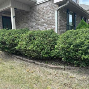 Flower Bed Weeding by Kay lawn care reviewed on May 16, 2025