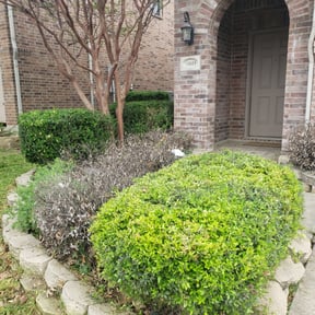 Bush Trimming by Magnum mowing reviewed on May 26, 2025