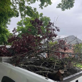 Cleanups by Solis lawn care reviewed on November 16, 2021