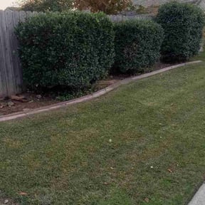 Bush Trimming by Christian Brothers Maintenance reviewed on July 9, 2025