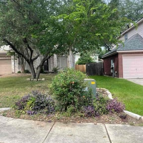 Bush Trimming by Go Green Garza Solutions reviewed on March 12, 2025