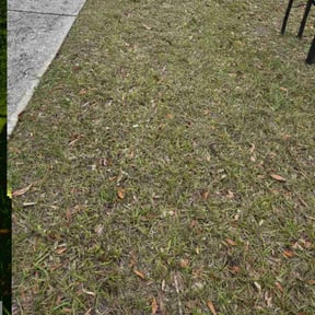 Bush Trimming by WhaleyScapes lawn services reviewed on June 29, 2022