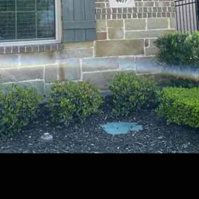 Flower Bed Weeding by Felo pride lawn service reviewed on July 27, 2022