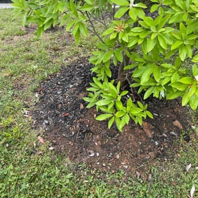 Landscaping by Natures Own reviewed on April 25, 2022