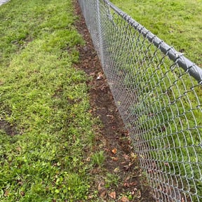 Leaf Removal by "Low Cost-in" " Lawn & Things" reviewed on March 17, 2025