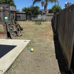 Cleanups by TruGreen LawnCare reviewed on June 25, 2025