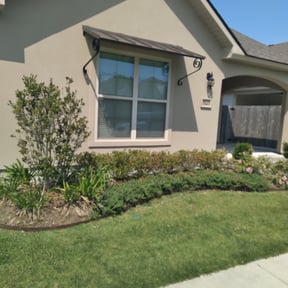 Bush Trimming by Earthmovers Landscaping reviewed on March 19, 2025