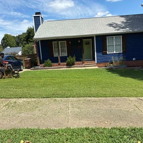 Cleanups by Williamson's Lawn Care and Service reviewed on September 8, 2020