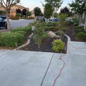 Bush Trimming by Cedarpine greenscapes reviewed on August 7, 2024