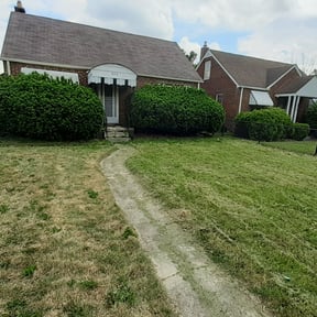 Bush Trimming by K’S Up landscaping reviewed on May 6, 2025