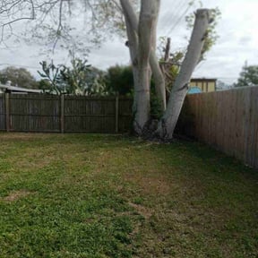 Bush Trimming by Lawngevity Landscape and Maintenance reviewed on June 1, 2022