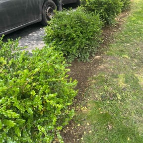 Flower Bed Weeding by J.E.T. Salvage reviewed on June 4, 2022