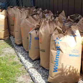 Leaf Removal by Haulin Hooligans L+R reviewed on August 13, 2025