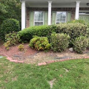 Flower Bed Weeding by Dutch Lawn Care reviewed on June 23, 2025