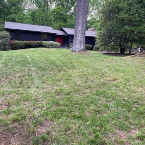 Leaf Removal by American Dream Lawn and Services reviewed on August 3, 2022