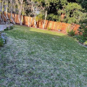Cleanups by brett b landscaping reviewed on December 16, 2024
