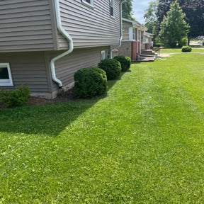 Bush Trimming by Marvelous Carmichael Landscape reviewed on July 14, 2022