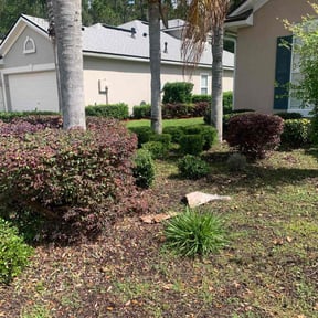 Bush Trimming by Jonathan Page Sr reviewed on June 10, 2022