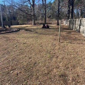 Leaf Removal by C &amp; D Lawn Care reviewed on August 5, 2025