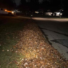 Leaf Removal by Arturo Lopez reviewed on May 26, 2022