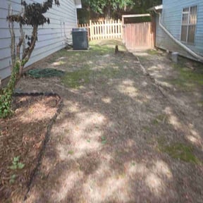 Bush Trimming by Silent Treatment Lawn Care reviewed on October 15, 2022