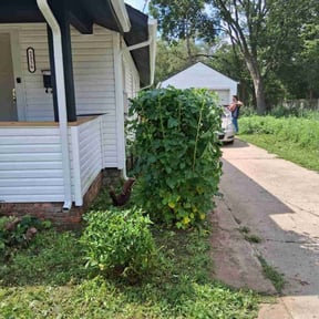 Bush Trimming by Greenscape LLC. reviewed on June 14, 2022