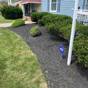 Weeding by Wright Now Landscaping L.L.C reviewed on September 4, 2024