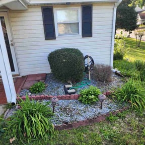 Flower Bed Weeding by Sage LLC reviewed on July 3, 2025