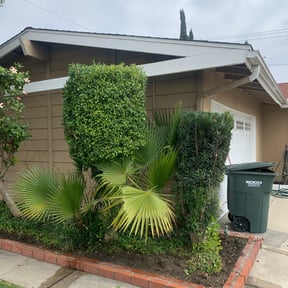 Bush Trimming by Collins landscaping reviewed on June 30, 2022
