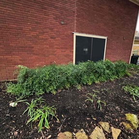 Flower Bed Weeding by David landscaping services reviewed on March 22, 2025