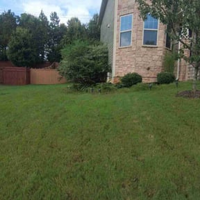 Bush Trimming by Electric Cut Lawn Care LLC reviewed on November 25, 2024
