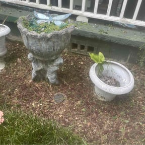 Weeding by A&R Property Preservation reviewed on August 11, 2025
